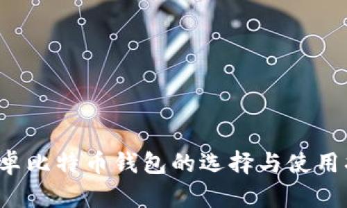  安卓比特币钱包的选择与使用指南